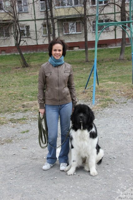 Фотография № 95262