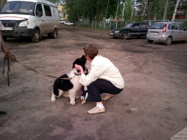 Фотография № 95277