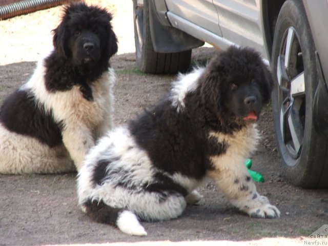 Фото: [d11328] [d11323]