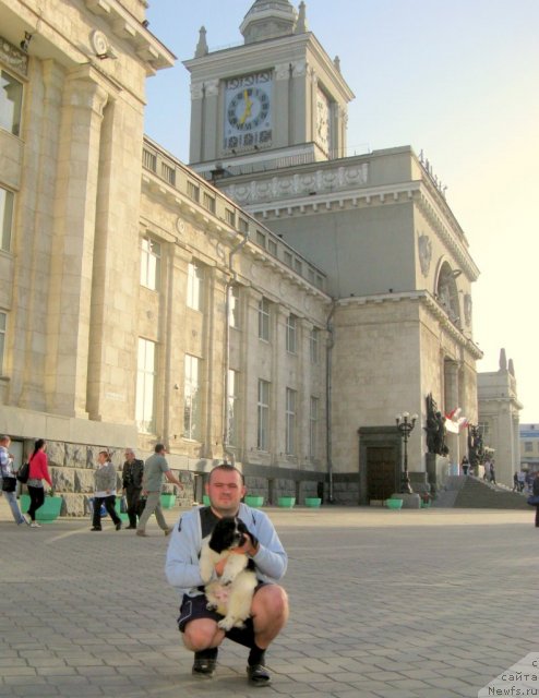 Фото: ньюфаундленд Pitern'yuf Hubba-Bubba (Питерньюф Хубба-Бубба), Vladimir Slepchenko (Владимир Слепченко)