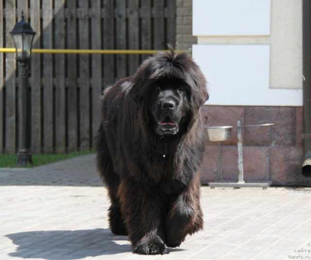 Фотография № 95312