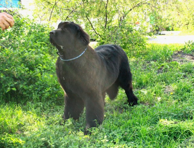 Фотография № 95323