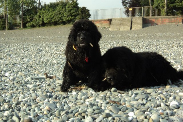 Фото: Elena Gricenko (Елена Гриценко)