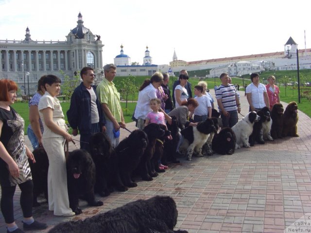 Фотография № 95346