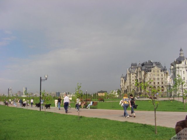 Фотография № 95355