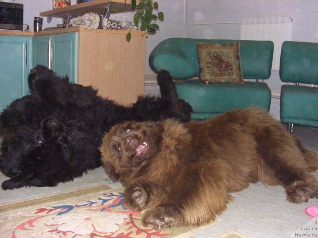 Фотография № 95356