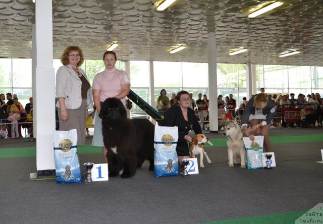 Фотография № 95360