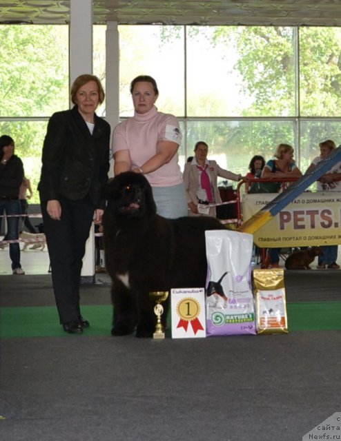 Фотография № 95362