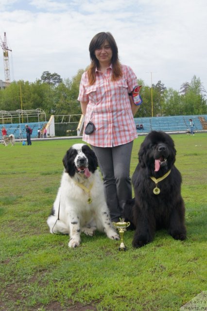 Фотография № 95367