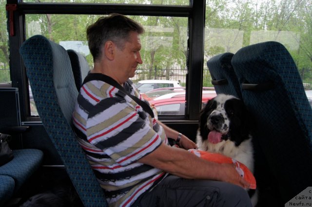 Фотография № 95369