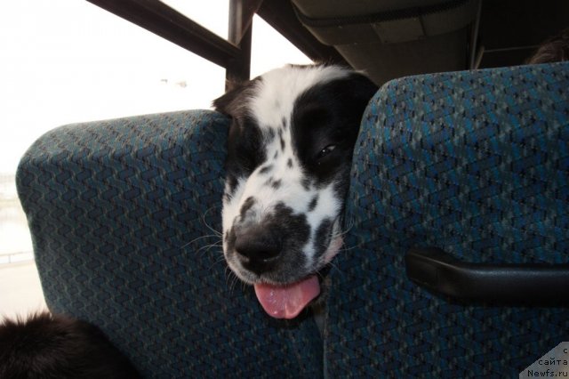 Фотография № 95372