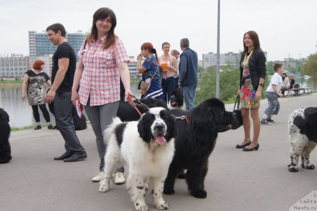 Фотография № 95373