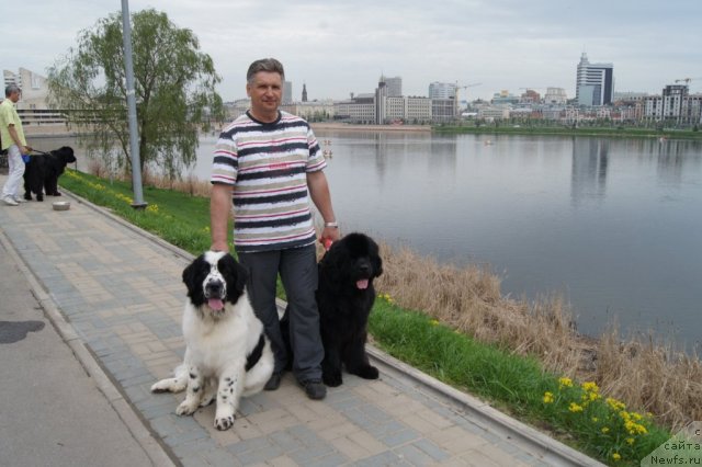 Фотография № 95374