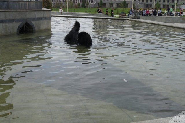 Фотография № 95378