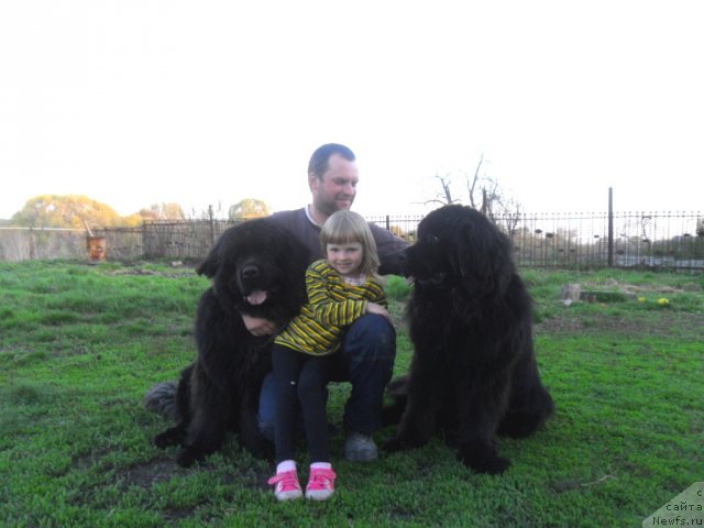 Фотография № 95399