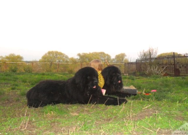 Фотография № 95400