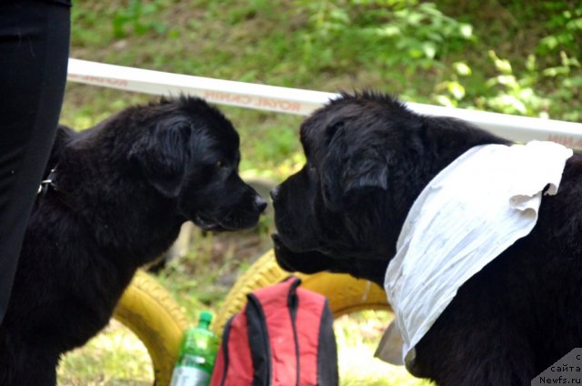 Фотография № 95434