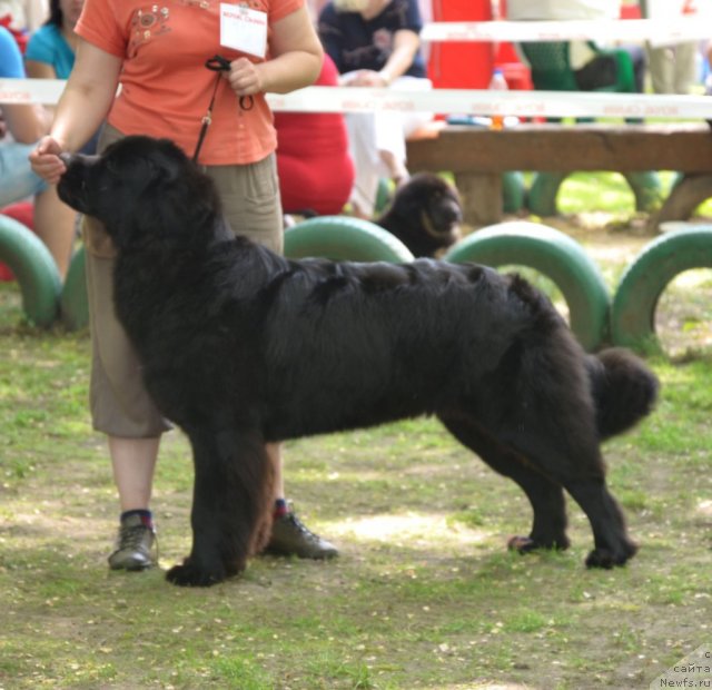 Фотография № 95456