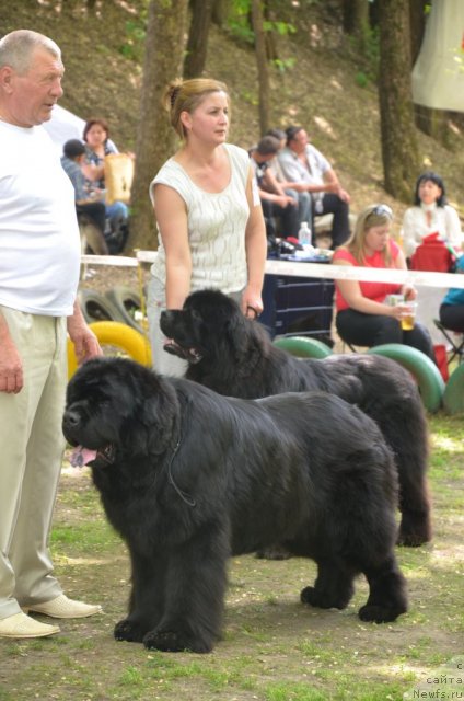 Фотография № 95460