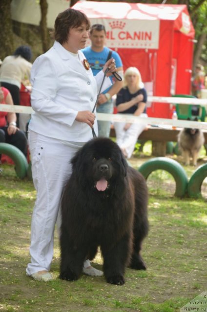 Фотография № 95461