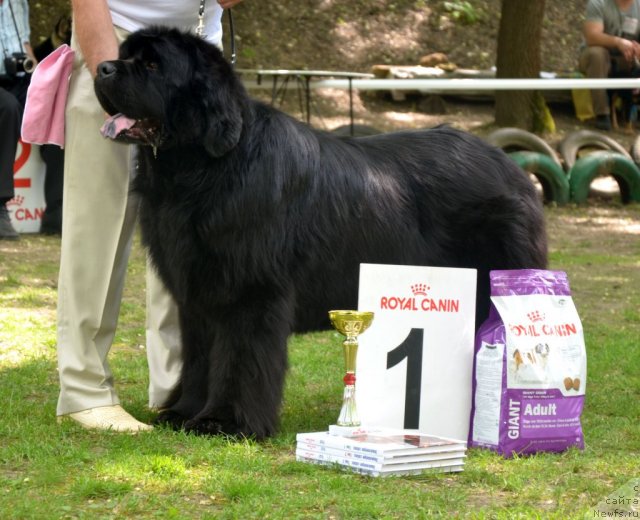 Фотография № 95465