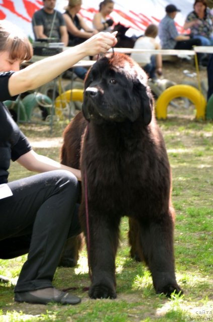 Фотография № 95467