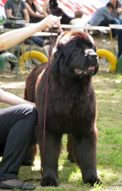 Фотография № 95469