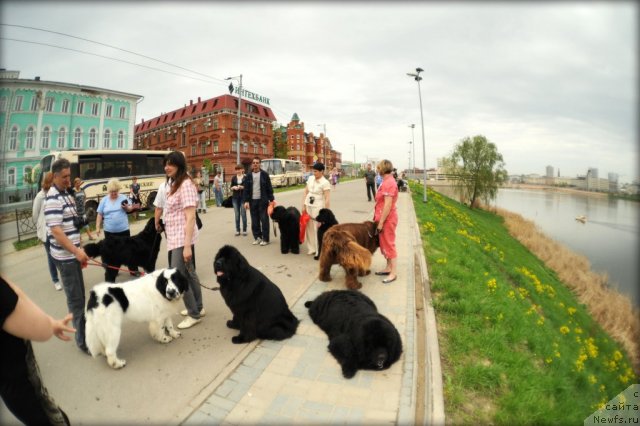 Фотография № 95571