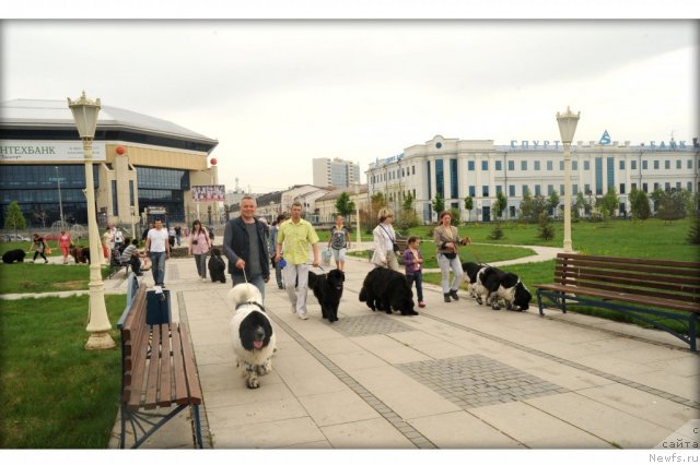 Фотография № 95572