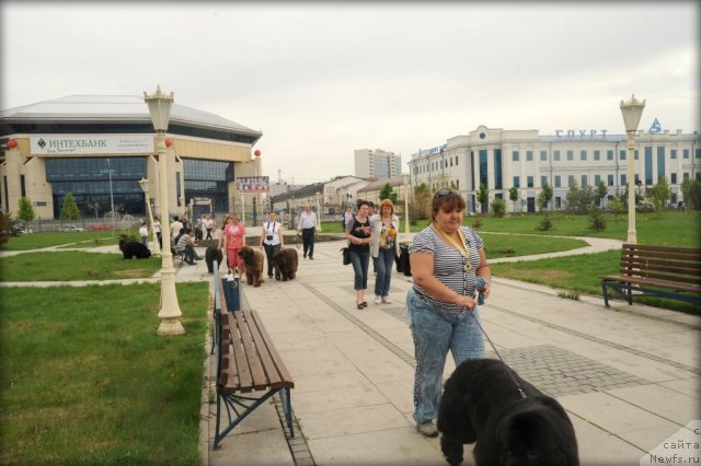 Фотография № 95573