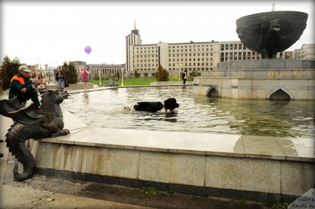 Фотография № 95574