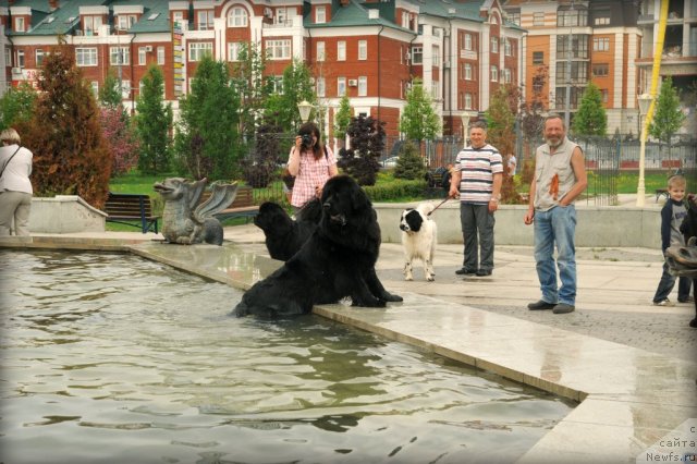 Фотография № 95576