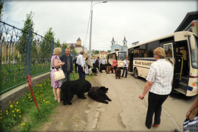 Фотография № 95578