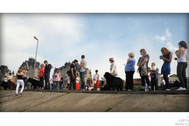 Фотография № 95580