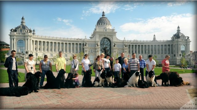 Фотография № 95581