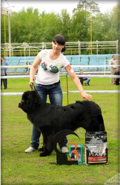 Фотография № 95584