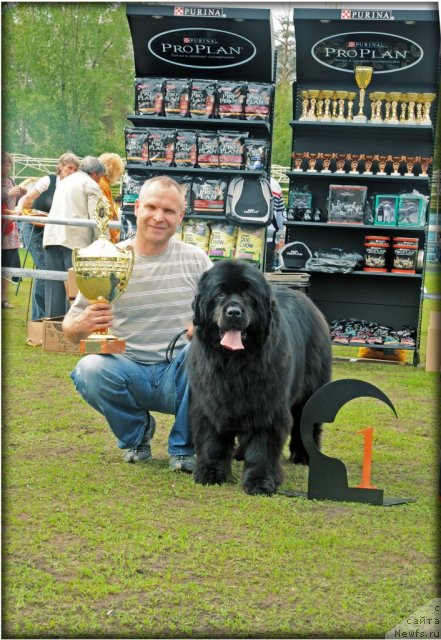 Фотография № 95585