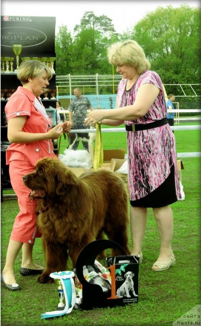 Фотография № 95588