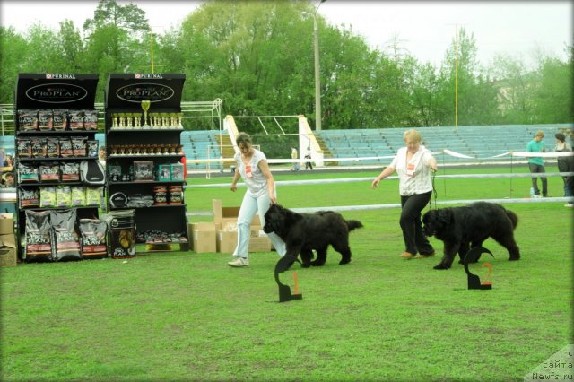 Фотография № 95590