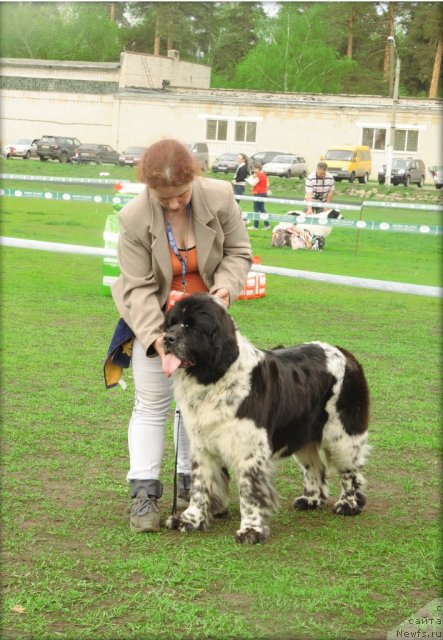 Фотография № 95591