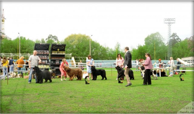 Фотография № 95595