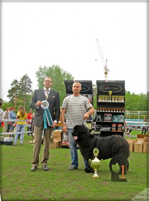 Фотография № 95596