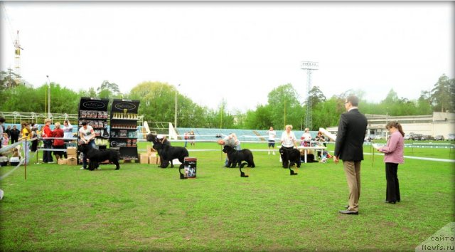 Фотография № 95597