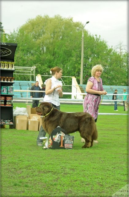 Фотография № 95601