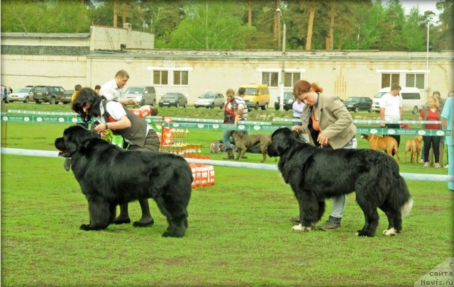 Фотография № 95602