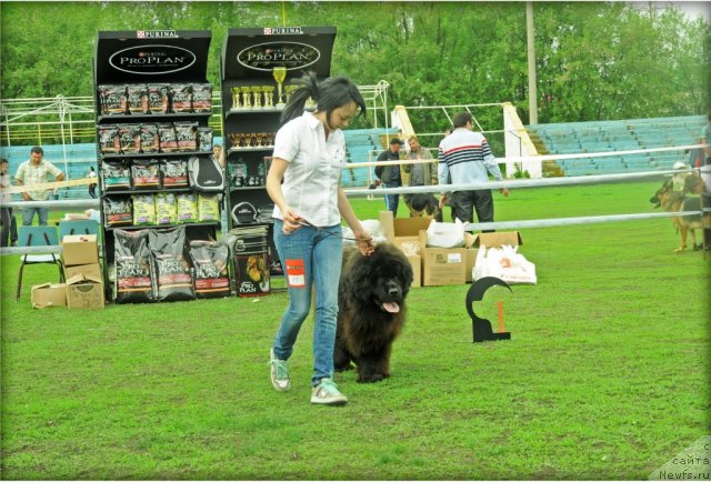 Фотография № 95603