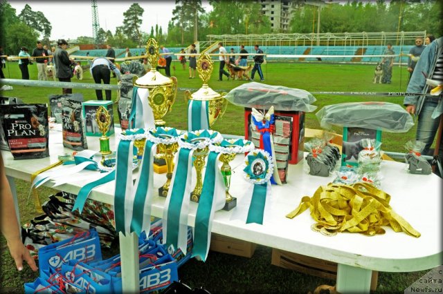 Фотография № 95606