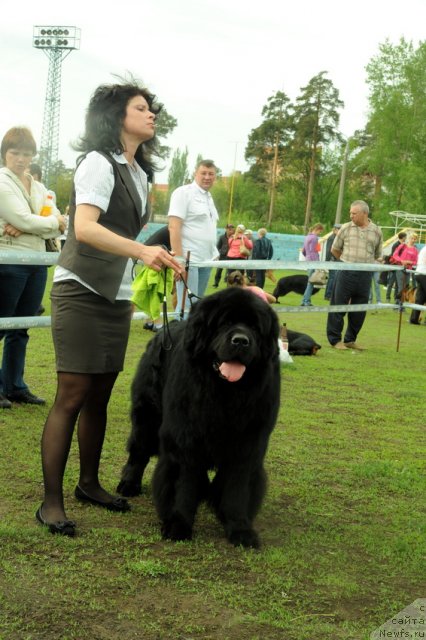 Фотография № 95609