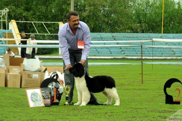 Фотография № 95610