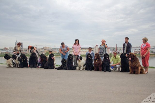 Фотография № 95626